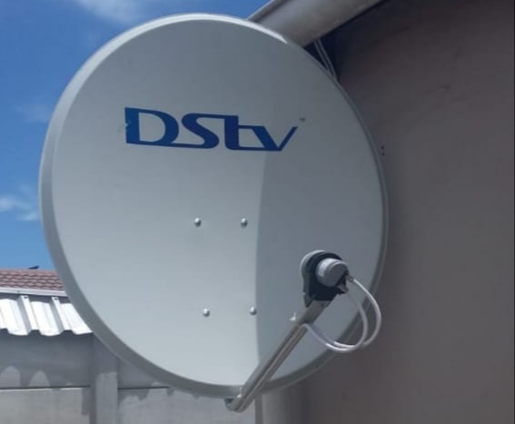 dish